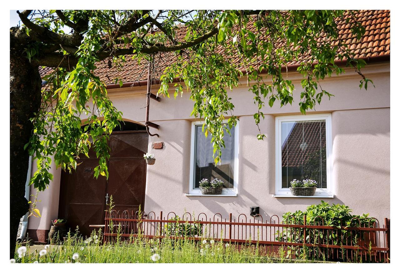 Ubytovani U Trati Hotell Moravská Nová Ves Exteriör bild